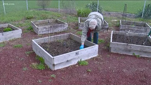 Efforts underway to save community garden at Taft ...