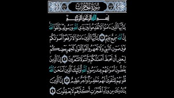 ما تيسر من سورة الحجرات #اكسبلور #المصحف #لايك #متابعه #قران_كريم #إتقوا_يوما_ترجعون_فيه_إلي_الله