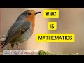 What is mathematics ll maths in my view ll sam maths wonder