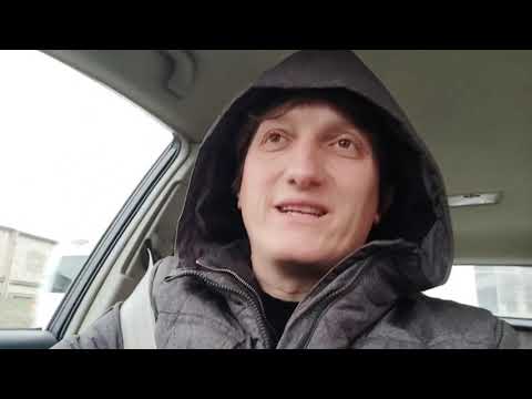 საუკეთესო ნერგები მირიანისგან