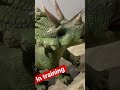 Triceratop | dinosaur | Jurassic world #dinosaurus #triceratops #dinosaurs