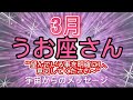 うお座⭐️3月⭐️“ 新しいステージアップ、未来が見えます〜”⭐️宇宙からのメッセージ ⭐️シリアン・スターシード・タロット⭐️Pisces ♓️