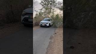 Tree on Road = Danger | Cleared in 1 Hour #RoadSafety #Shorts #TeamS