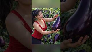 harvest egg plant  and goes to market sale #harvest #bushcraft #farmlife