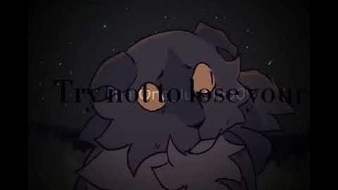 ShadowSight edit. #warriorcats