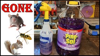 Pine Sol - Top 3 Secret Uses