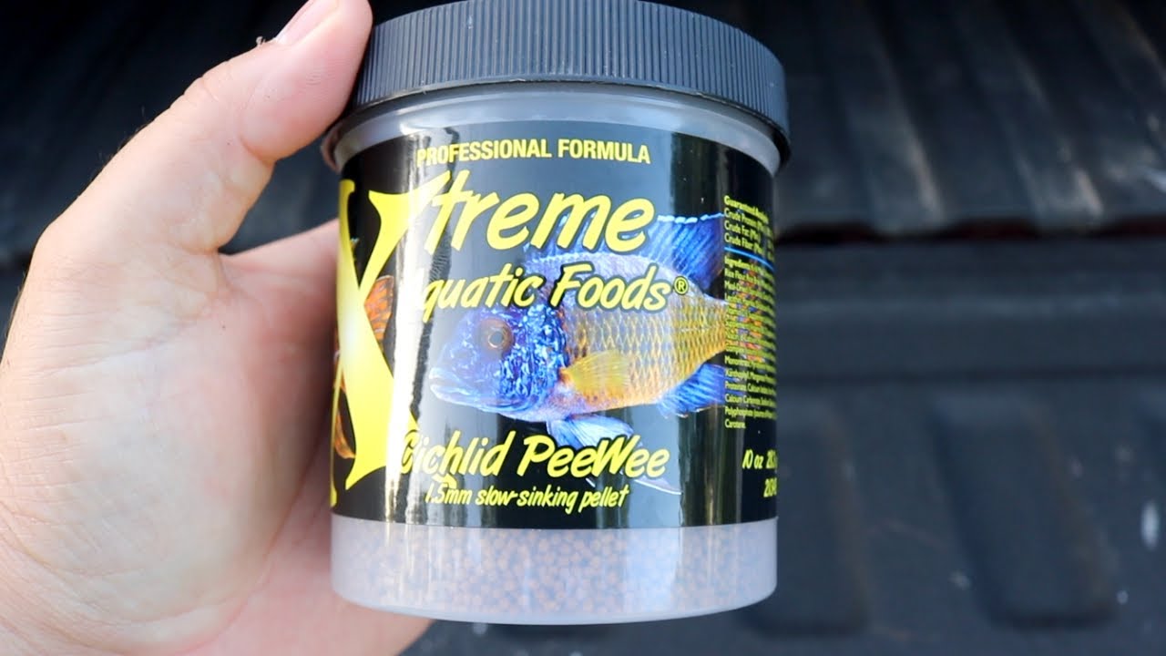 Xtreme Aquatic Fish Food YouTube