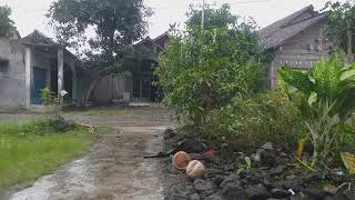 ALBUM MELAYU TERBARU ZINIDIN ZIDAN FEAT YAYA NADILA - CINTA LUAR BIASA ON TRENDING 2025