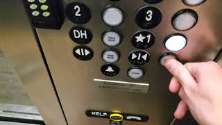 ThyssenKrupp Traction Apartment Elevator [Low-pitched Dover Beep]