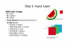 Convolutional Neural Network | Deep Learning | 3 | Tamil