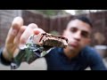 EATING ONLY PROTEIN BARS FOR 24 HOURS | 2,600 calories | 'Grenade Carb Killa' review