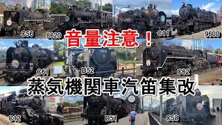 Loudly Horn!!】Japanese Steamlocomotive Horn - YouTube