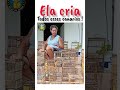 OLHA QUANTAS GAIOLAS ELA LIMPA TODOS OS DIAS ! #canario #curio #coleiro #passaros #papacapim