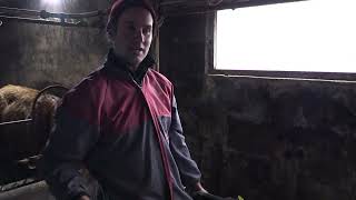 Ganaderos en su hábitat | Tudancas y blondas en Llanos | 7.2.2026