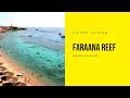 Обзор отеля Faraana Reef, Шарм ель шейх, Египет