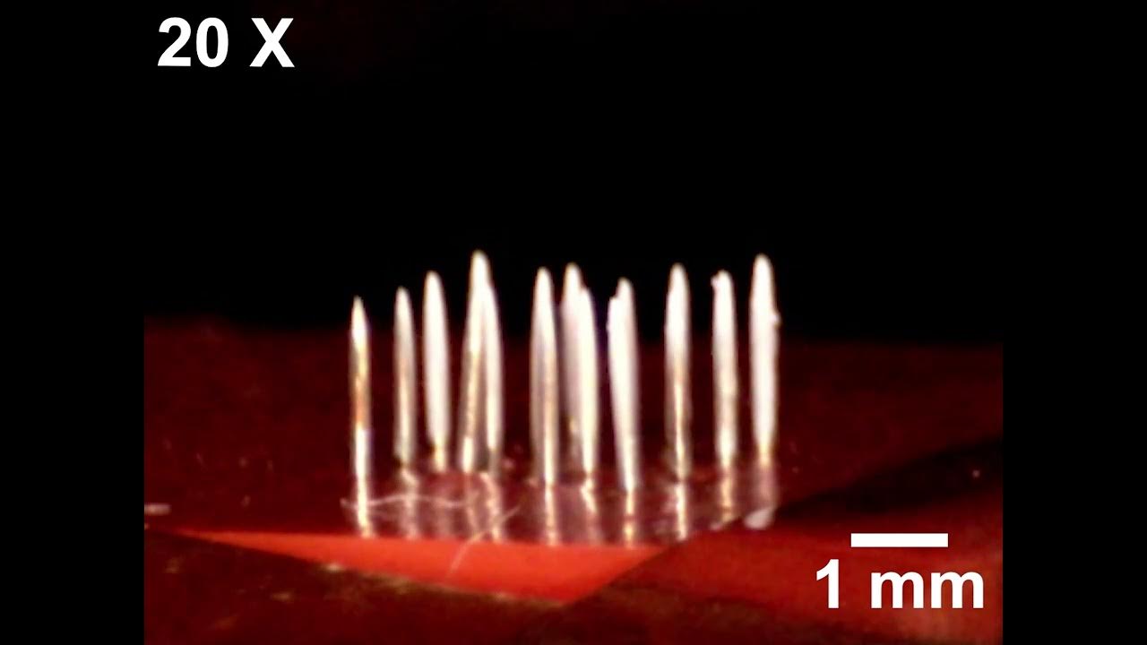 Scientists develop efficient spray technique for bioactive materials