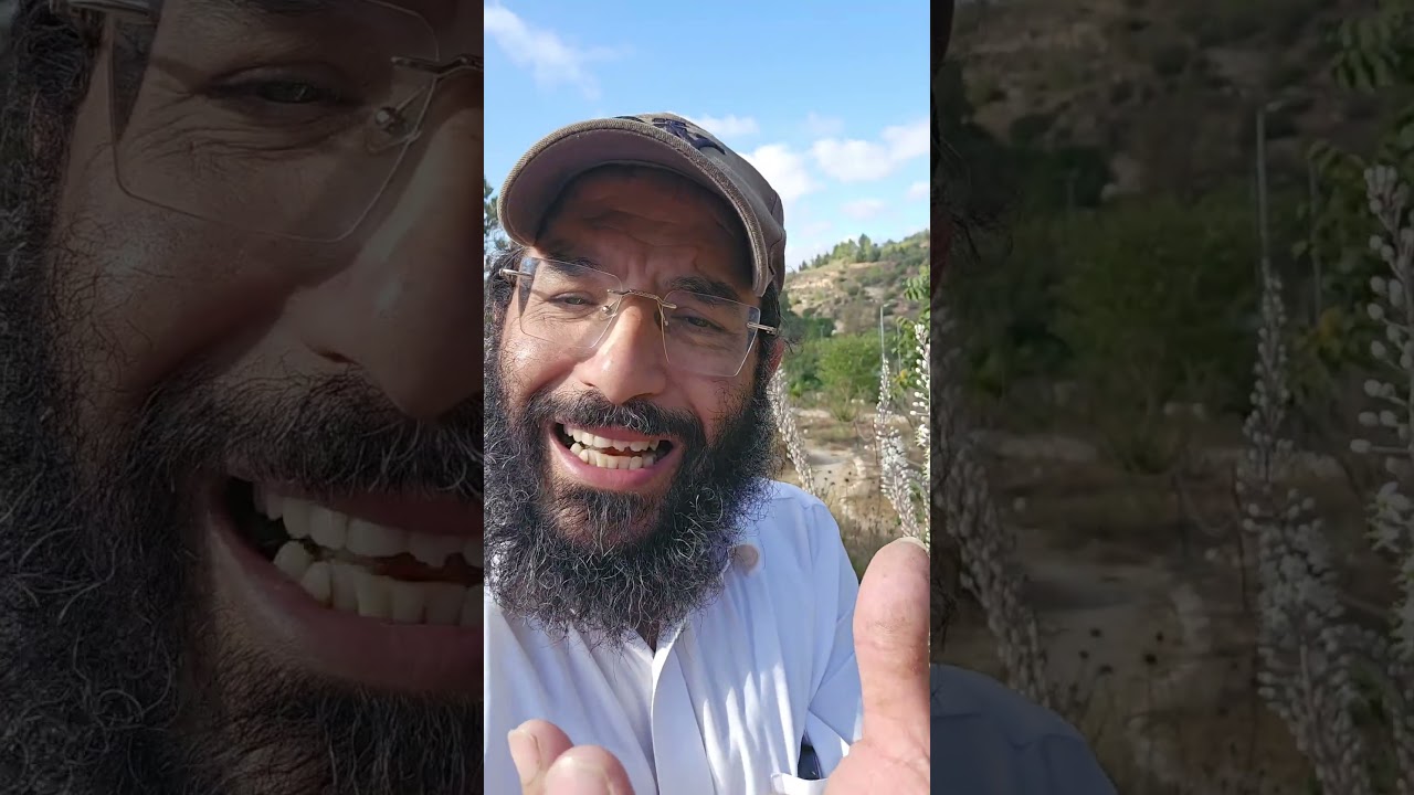 Uploads from הרב נתנאל ניר