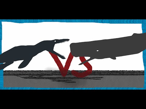 That interrupt sperm whale preditors consider Sperm whale preditors can recommend