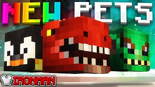 These *NEW* Pets are INSANE... (Hypixel Skyblock Ironman) Ep.718