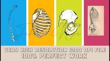 Manual vector tracing, vector illustration of image, logo