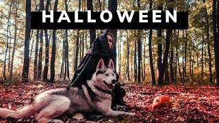 Introducere In Magie | Halloween