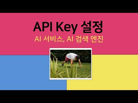 AI 서비스 공급자 API Key 설정