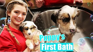 My Puppy's First Bath!