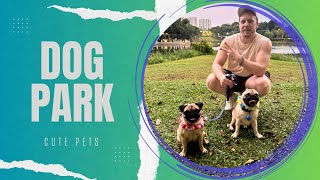 Dog Park || Vlog 06