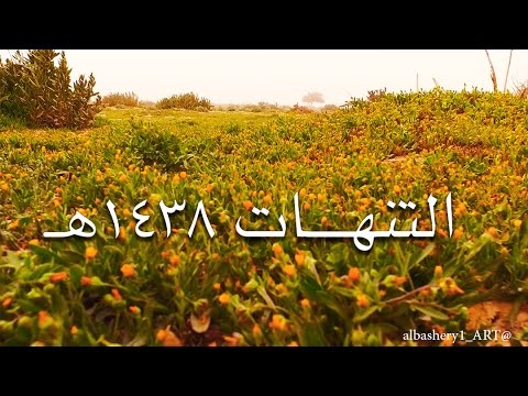 مواقيت الصلاة في القوز