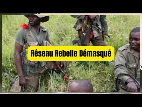 DRC A Network Linked To Thomas Lubanga And The M23 Unmasked In Bunia