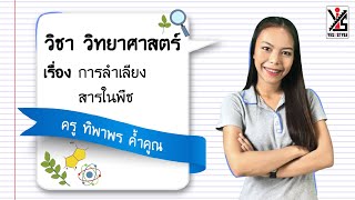 วิทยาศาสตร์ ม.1 ตอนที่ 2 การลำเลียงสารในพืช - Yes iStyle