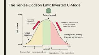 Arousal and task performance