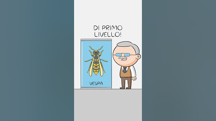 Adesso lo sapete.