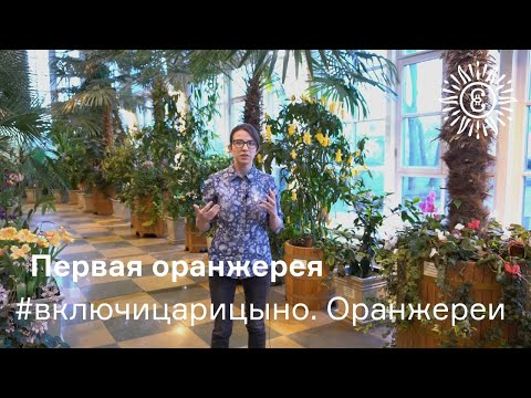 Видео: Китайски оранжерии: описание и рецензии