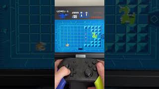 Zelda Nes Level 1 With The White Sword