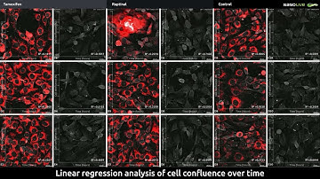 Multi-well, time-lapse imaging of live pre-adipocytes perturbed by different drugs