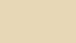 Warm Sand – 8K Solid Color Background | 16:9 | 1 Hour Loop