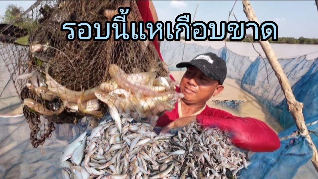 รอบนี้แหแทบขาดแตกเพา