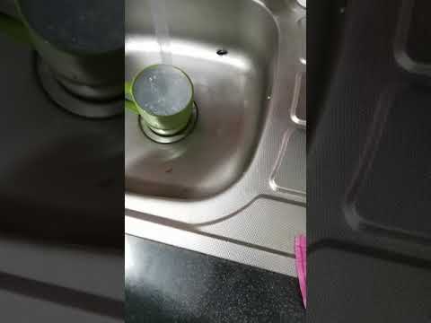 Video: Gândacii negri în apartament: cum să scapi de