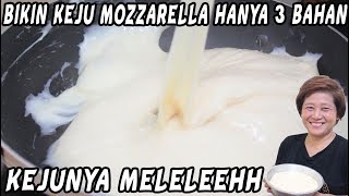 Cara Bikin Keju Mozzarella Hanya Pakai 3 Bahan Sangat Simple!!!