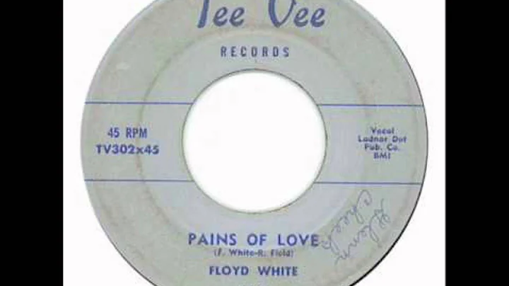 Floyd White & Group - Hey Theresa / Pains Of Love ...