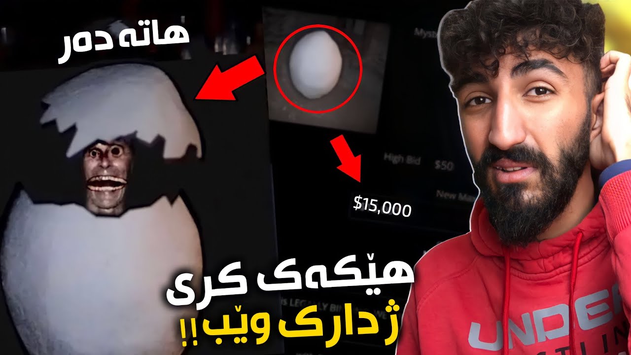 هێکەکێ ژ دارك وێب طەلەب دكەن و پشتى حەفتییەکێ دگەھيت😳بەس ئەو نە هێکەکا عادى بوو!چ تێدابوو!؟