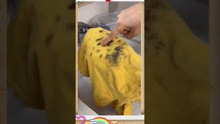 How to clean up moldy clothes