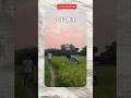 iPhone-Style Video Stabilization on Android 😱 | Secret App, #VideoStabilization #iPhoneStyle #Andr