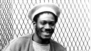 Video thumbnail of "Horace Andy - In the light"