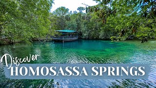 Meet Unique Wildlife at Homosassa Springs Wildlife Park!