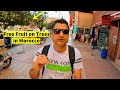 I Found Free Fruit Trees on Streets in Morocco - EP-12