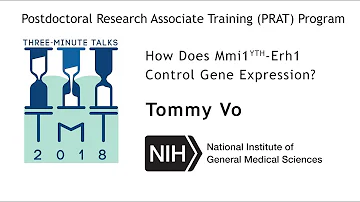 How Gene Expression is Controlled by Mmi1YTH-Erh1, Dr. Tommy Vo