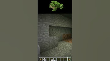 AWESOME 🤩 #java #minecraft #server # #feed #shorts #hypixel #plugin #offline #update #viral #new