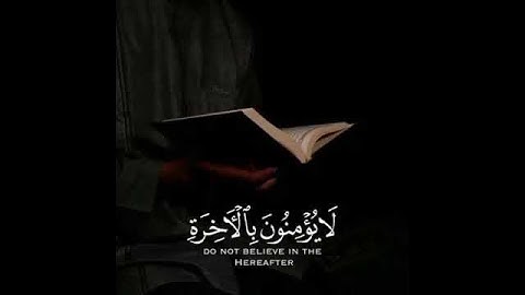 قرآن كريم 🤍🤍